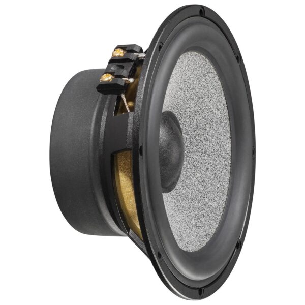 Brax Graphic GL 6 6.5" 16cm Midbass Speaker