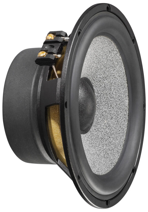 Brax Graphic GL 6 6.5" 16cm Midbass Speaker